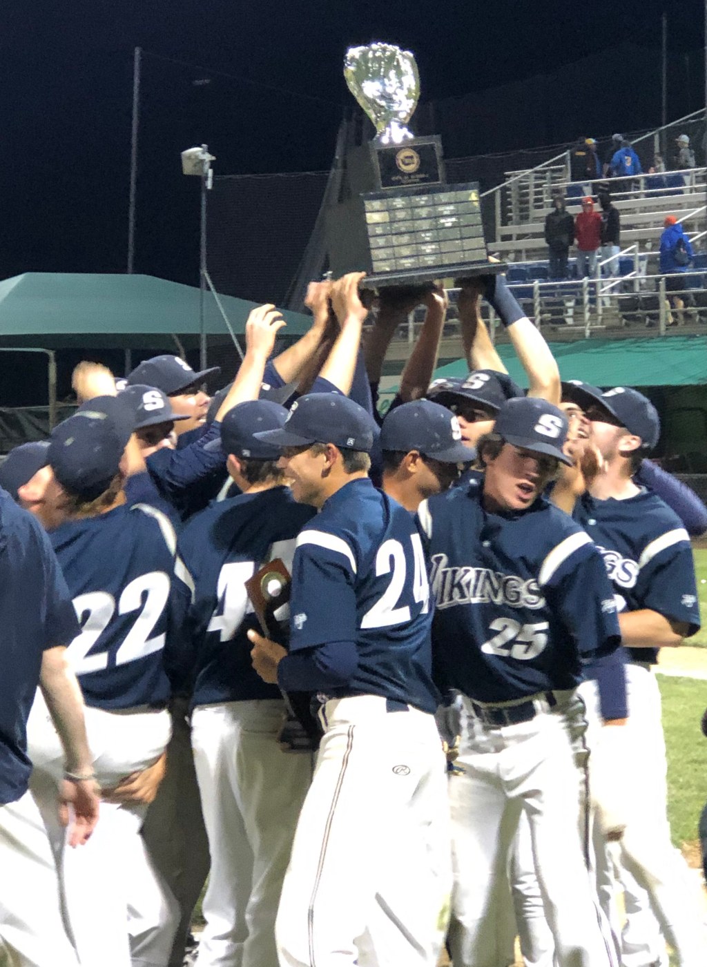 Senior-led Vikings baseball team finishes season on&nbsp;top