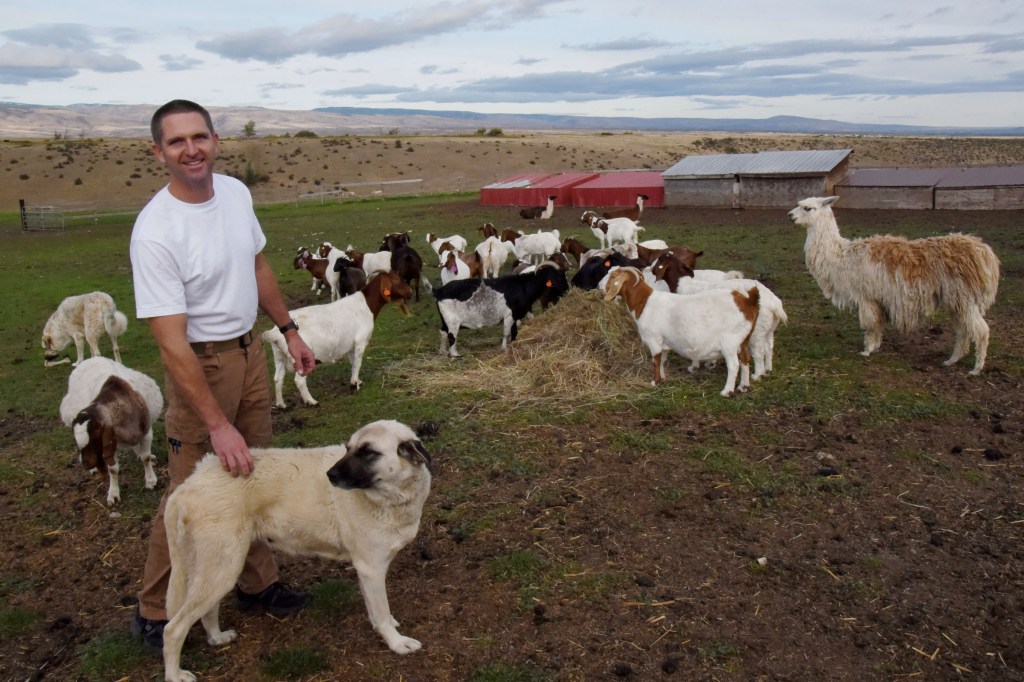 Ellensburg organic meat ranch family cares for its animals,&nbsp;customers