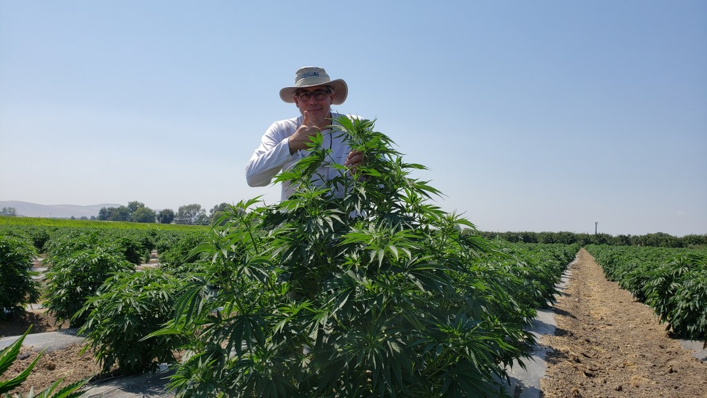 New company expects growing demand for smokable hemp&nbsp;products