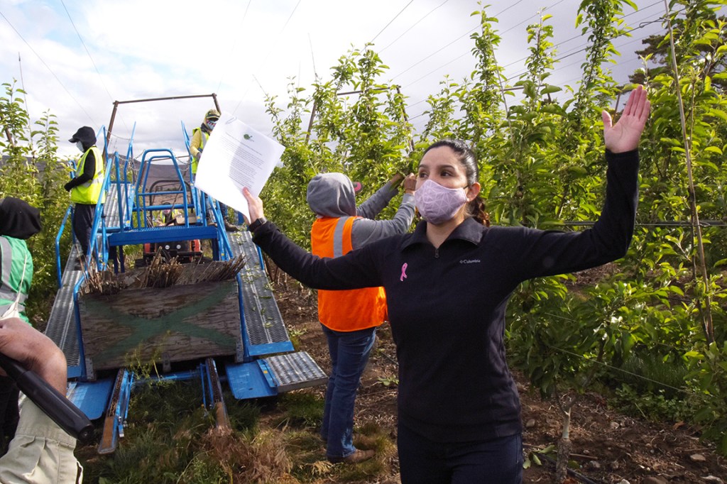Yakima tree fruit safety advocate ‘won the lottery’ with her&nbsp;job
