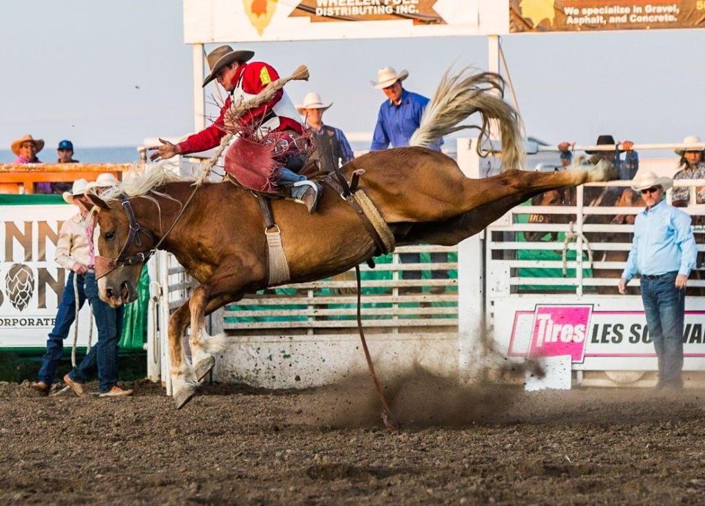 Toppenish Rodeo Wins Regional Award for Best Small&nbsp;Rodeo