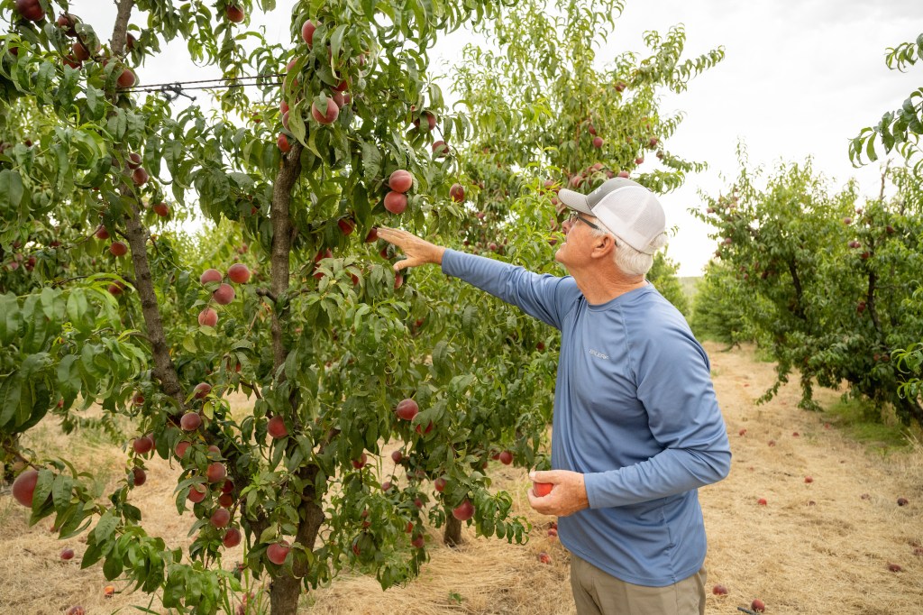 LaPierre Farms remains true to its organic&nbsp;roots